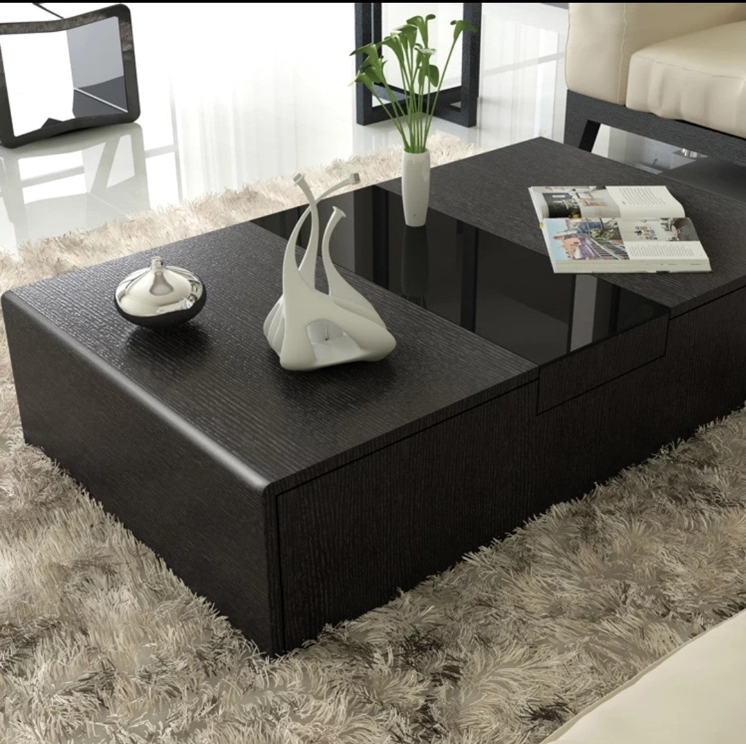 LAILA Noir Modern Coffee Table