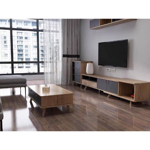 AMY TV Console Cabinet