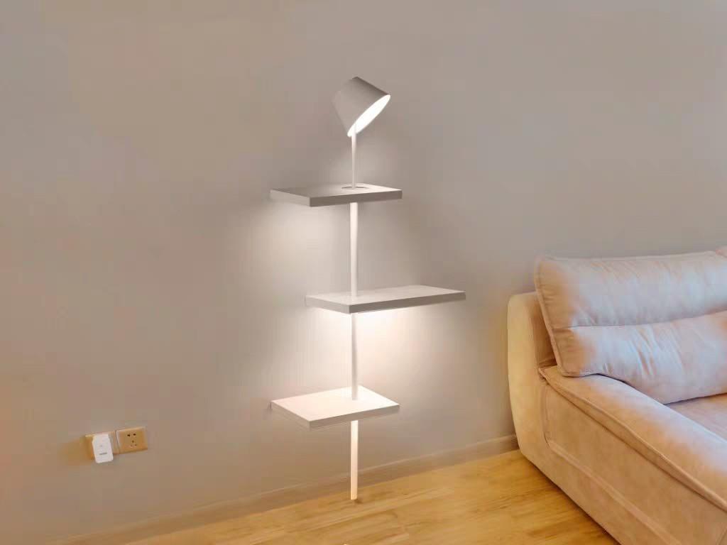 BRIELLE Floating Floor Lamp Shelf Lighting